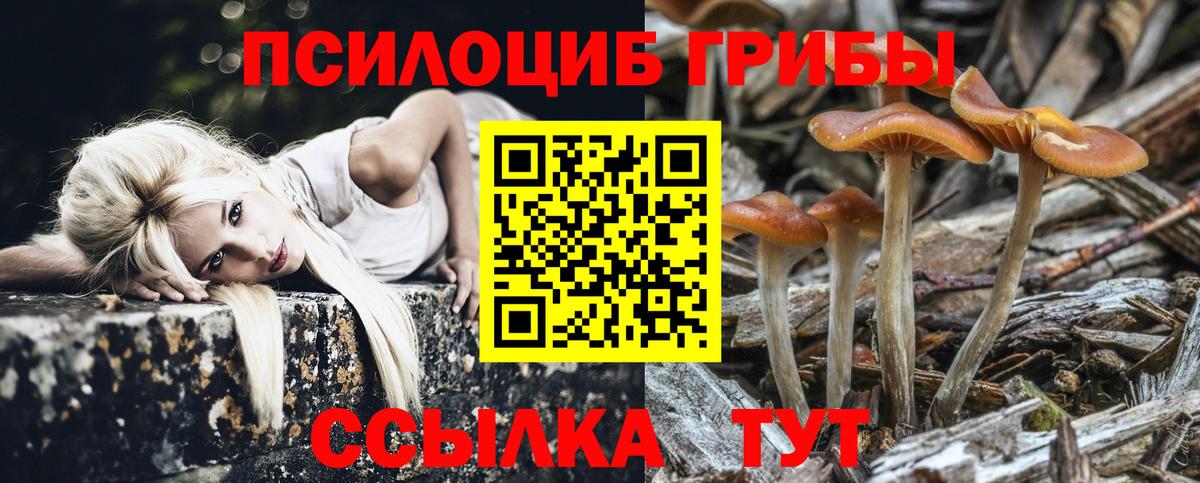 Галлюциногенные грибы Psilocybine cubensis Тулун