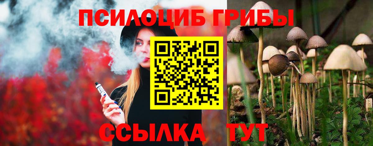 Галлюциногенные грибы мухоморы  Псилоцибиновые грибы MAGIC MUSHROOMS  Тулун  Вход с VPN 